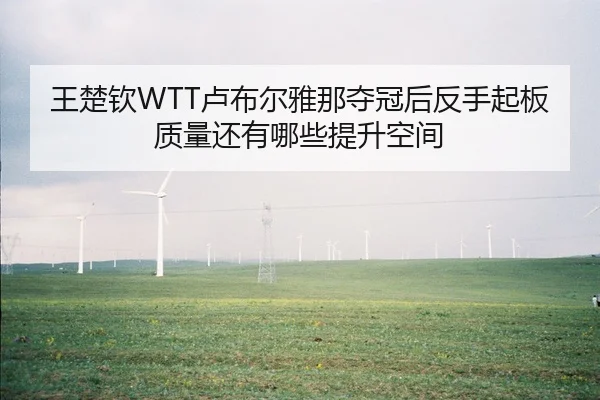 王楚钦WTT卢布尔雅那夺冠后反手起板质量还有哪些提升空间